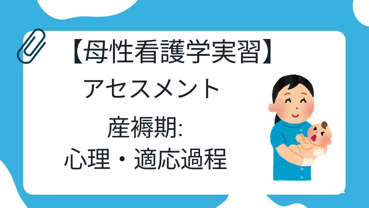 お買得限定品☆夏売れ筋 看護過程 4点セット 母性 老年 慢性終末期